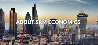 About SRM Economics